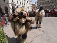 Foto cavalcata 9